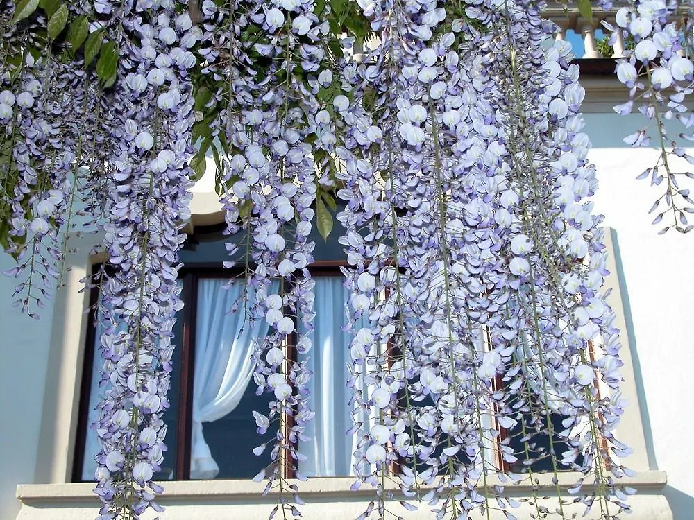 **  Du Parc Hotel Stresa Italy