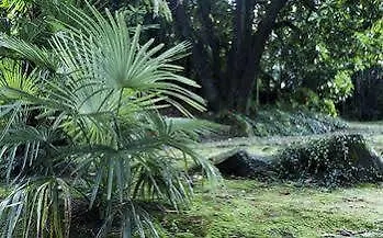 Отель Du Parc Lake Maggiore 2*,  Италия